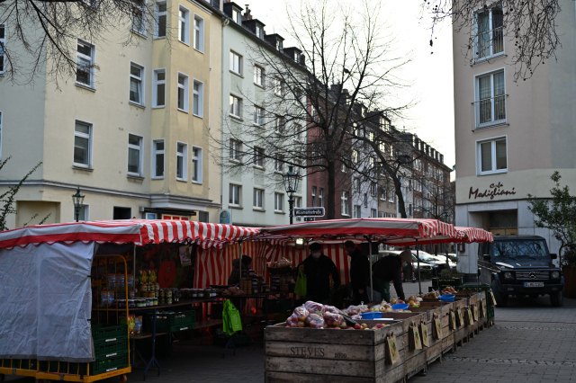 DSC_6545_001.JPG