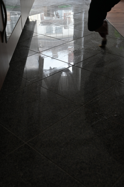 DSC_6553_001.JPG