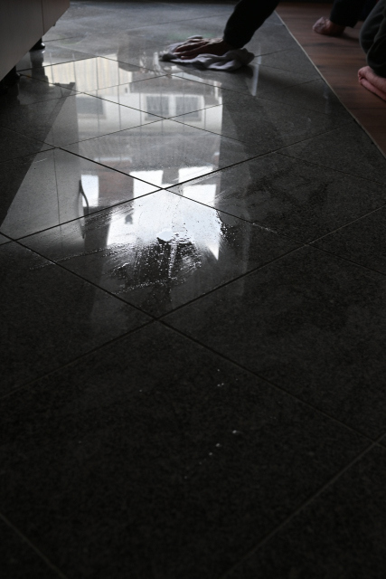 DSC_6555_001.JPG