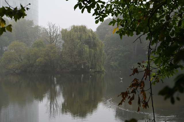 DSC_6574_001.JPG