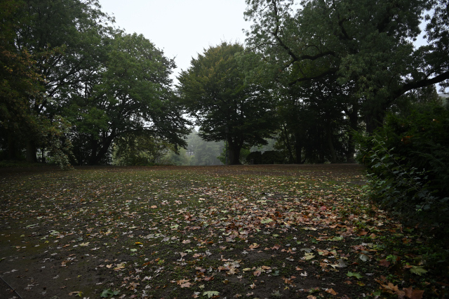 DSC_6601_001.JPG