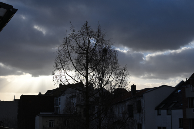 DSC_6808_001.JPG