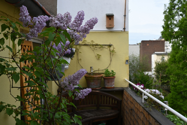 DSC_7208_001_01.JPG