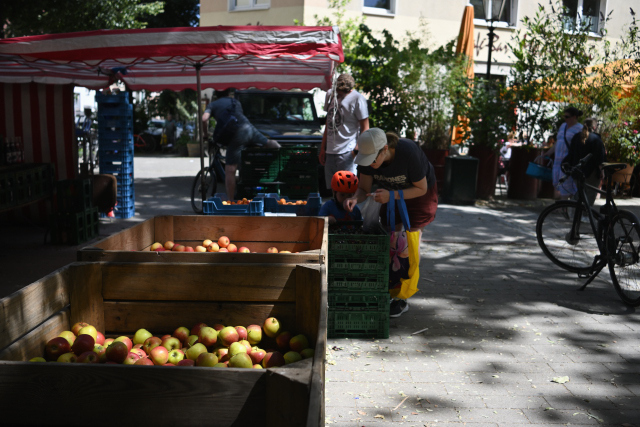 DSC_7612_001.JPG