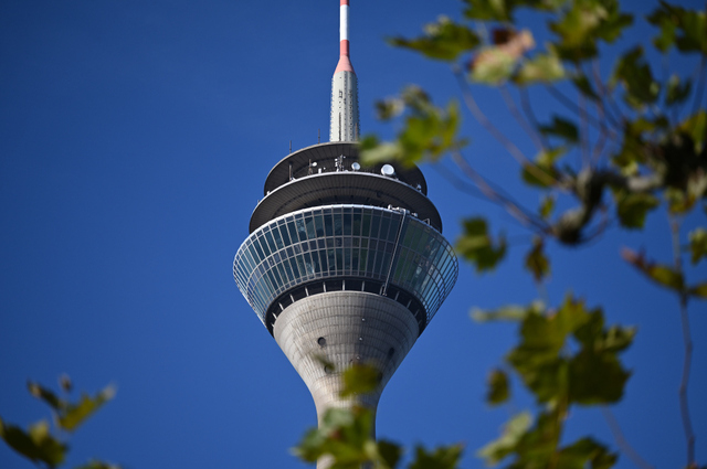 DSC_7706_001.JPG