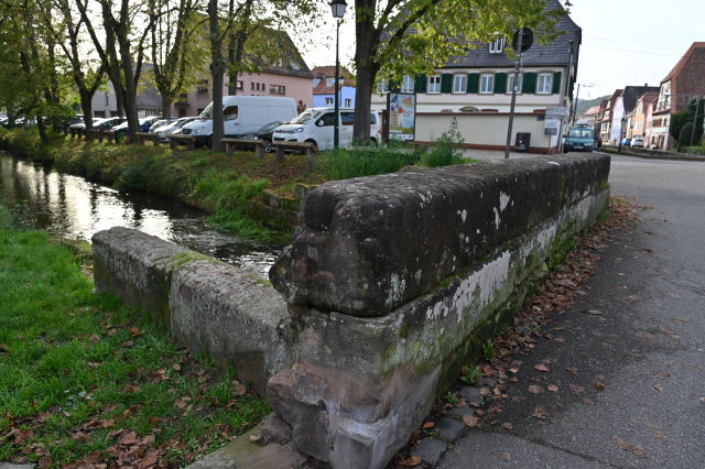 DSC_7709_001.JPG