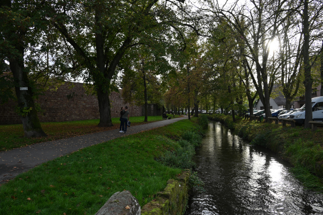 DSC_7710_001.JPG