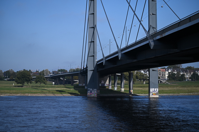 DSC_7726_001.JPG