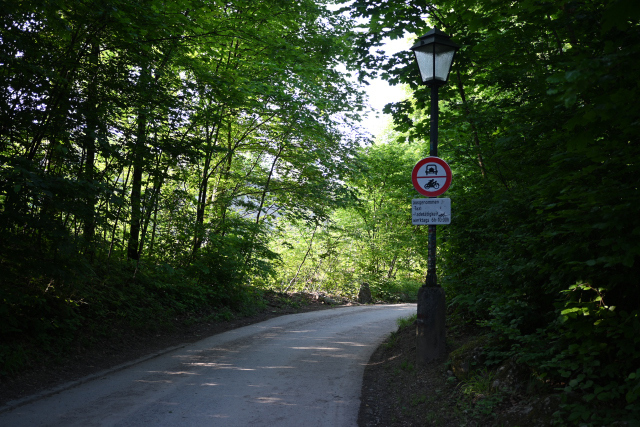 DSC_7730_001.JPG