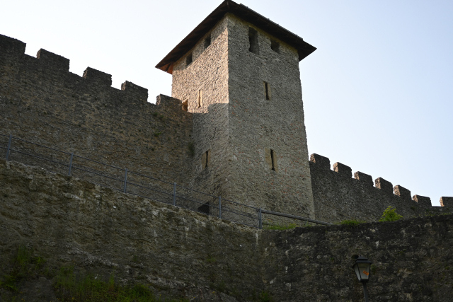 DSC_7735_001.JPG