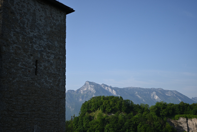 DSC_7737_001.JPG