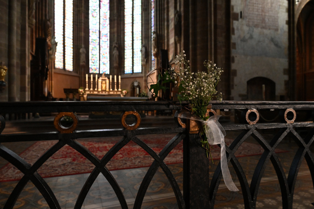DSC_7779_001.JPG