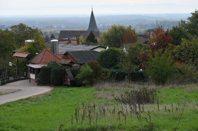 DSC_7953_001.JPG