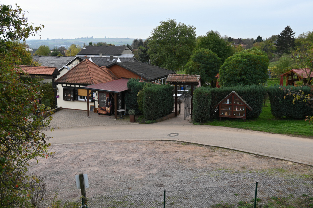 DSC_7978_001.JPG