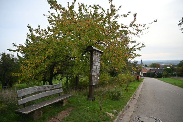 DSC_7990_001.JPG