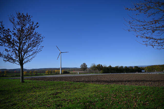 DSC_8038_001.JPG