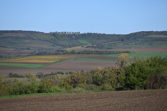 DSC_8047_001.JPG