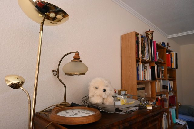 DSC_8312_001.JPG