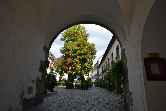 DSC_8463_001.JPG