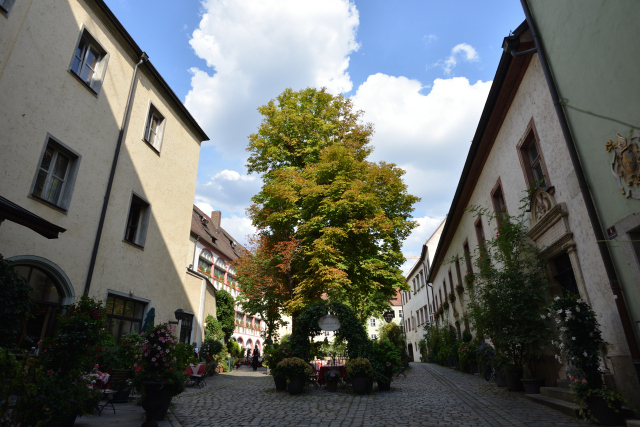 DSC_8464_001.JPG