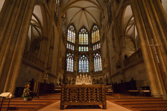 DSC_8486_001.JPG