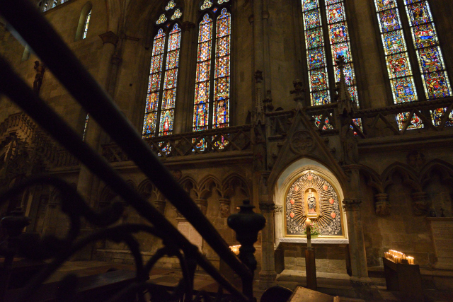 DSC_8490_001.JPG