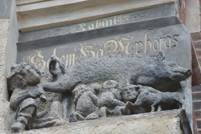 DSC_8546_001.JPG