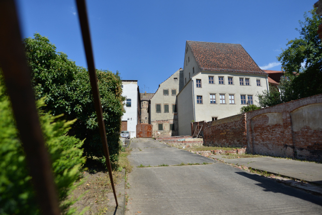 DSC_8582_001.JPG