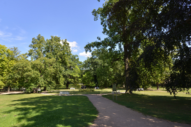 DSC_8605_001.JPG