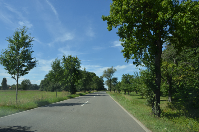 DSC_8617_001.JPG
