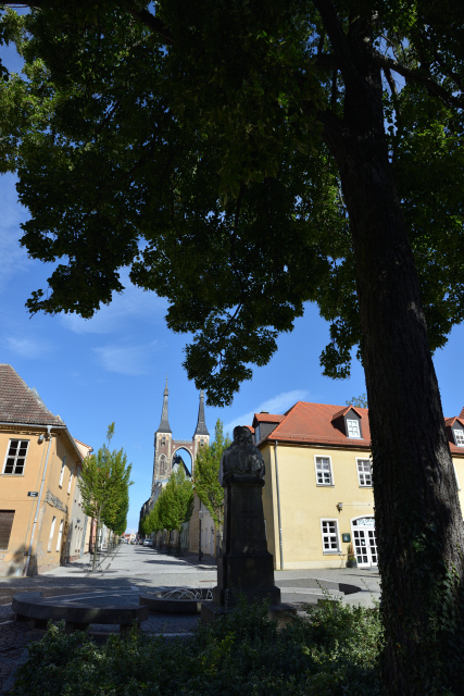 DSC_8660_001.JPG