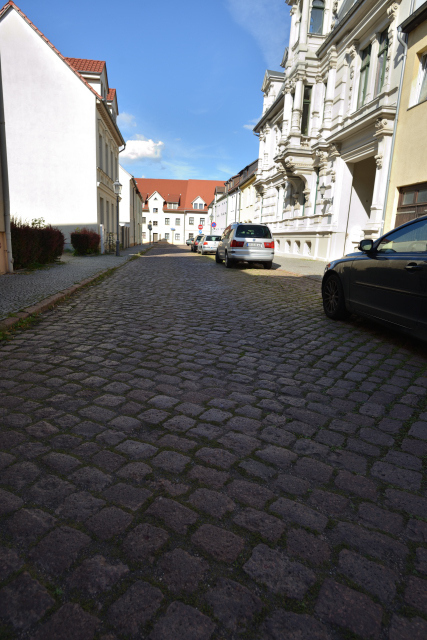DSC_8666_001.JPG