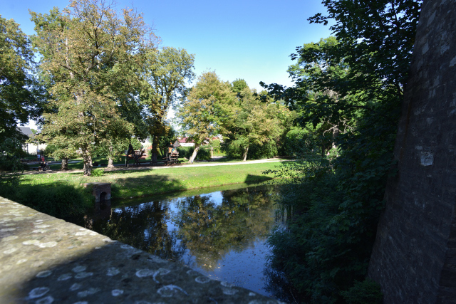 DSC_8675_001.JPG