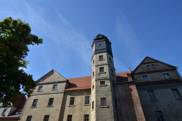 DSC_8680_001.JPG