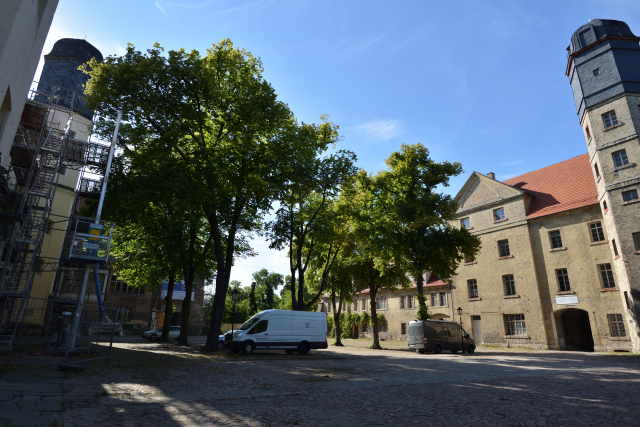 DSC_8687_001.JPG