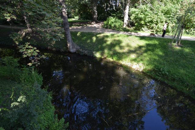 DSC_8688_001.JPG