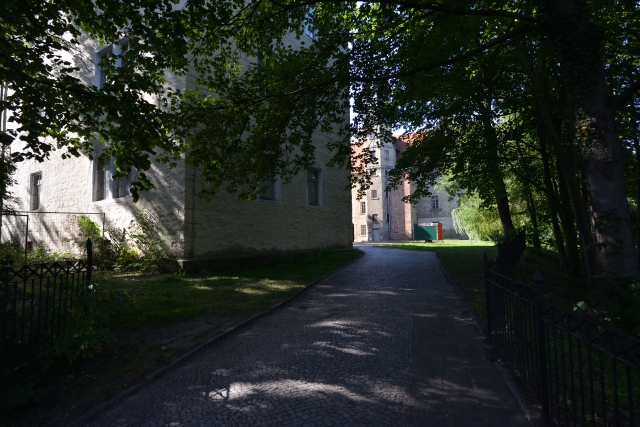 DSC_8689_001.JPG