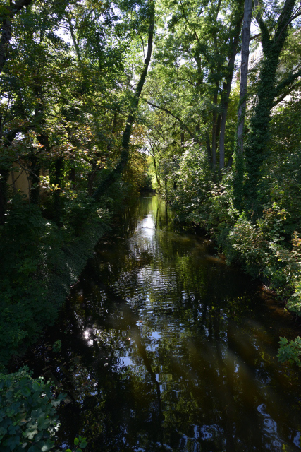 DSC_8695_001.JPG