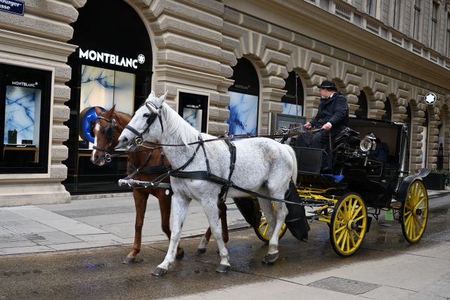 DSC_8820_001.JPG