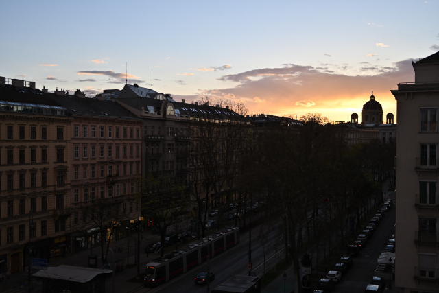 DSC_8837_001.JPG