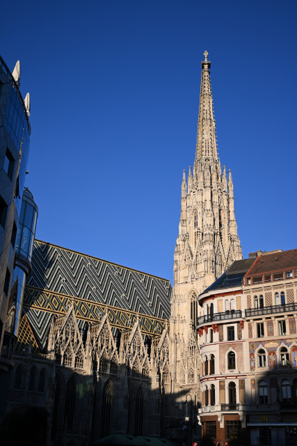 DSC_8879_001.JPG