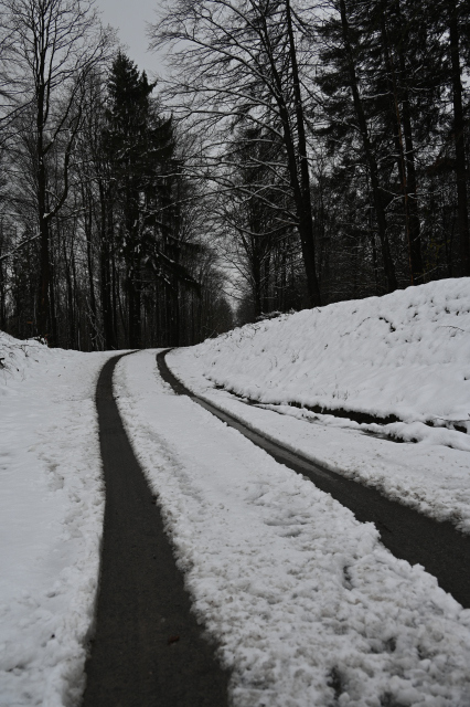 DSC_8956_001.JPG