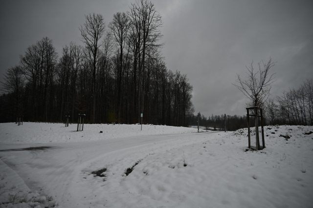 DSC_8960_001.JPG