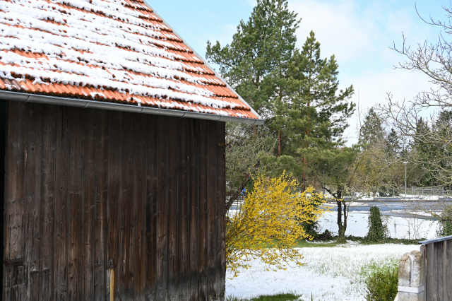 DSC_9019_001.JPG