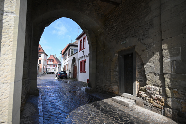DSC_9035_001.JPG