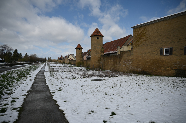 DSC_9040_001.JPG