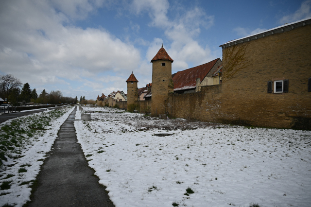 DSC_9040_001.JPG
