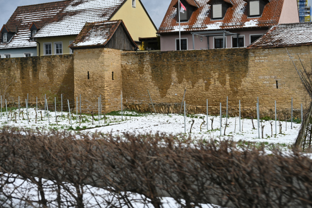 DSC_9049_001.JPG