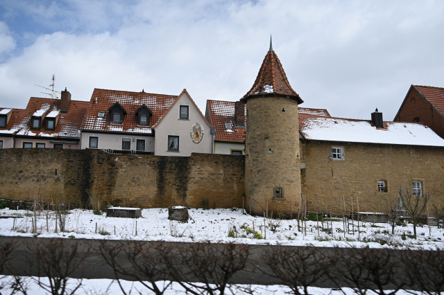 DSC_9054_001.JPG