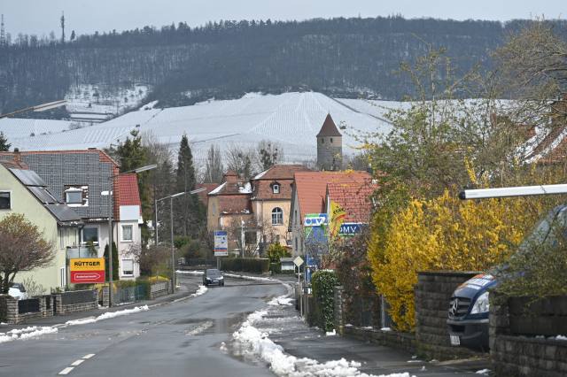 DSC_9061_001.JPG